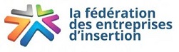 Logo FEI redi